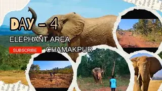 Elephant area chamakpur 