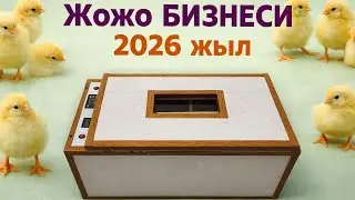 2026 жылда инкубатор бизнеси 