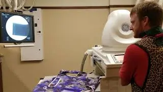 Lead apron testing