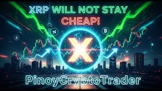 Japan Is Quietly Building Financial Rails Around XRP