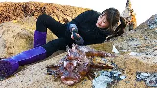皮皮发财了！抓到赶海以来最大的&ldquo;大虎&rdquo;，被扎得躺地上都还在笑