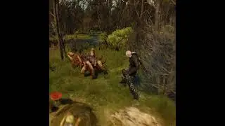 Kikimore / Insectoid | The Witcher 3