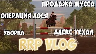 RRP VLOG|КОНОБЛОГ|STAR STABLE|ПРОДАЖА МУССА?