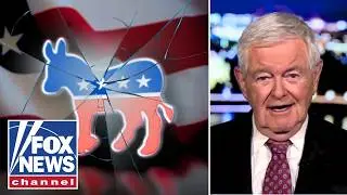 Newt Gingrich: This is the 'most remarkable collapse' ever