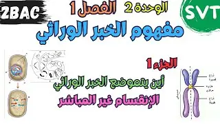 ثانية باك | الوحدة 2 | الفصل 1: مفهوم الخبر الوراثي  | الحصة 1: الإنقسام غير المباشر والدورة الخلوية
