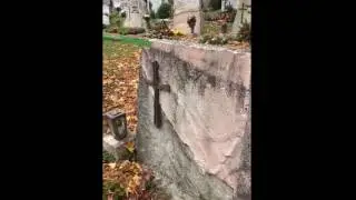 Grabstein Reinigung