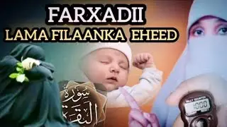 QISADAAN  HADAAD DHAGEYSATO HUBAAL NOLOSHAADA WEY  ISBADALIDOONTAA💯