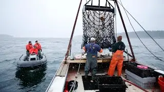 Maine Sea Grant funding cut; Pingree claims Trump has vendetta