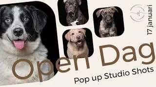 Pop Up Studio Shots