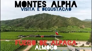 Visita vin&iacute;cola Montes Alpha e almo&ccedil;o no Fuego de Apalta no Vale do colchaga Chile