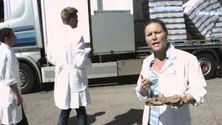 Триопласт ТриоЭкстрим