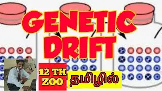 GENETIC DRIFT (PART 1) | TAMIL | SEWALL WRIGHT EFFECT | NEO DARWINISM | EVOLUTION | STD 12