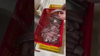 Fish de-boning machine #seafoodprocessing #machine #fillet #fishprocessing #fish
