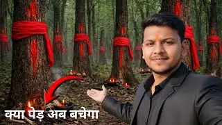 Kya Lal Kapda Baandhne Se Ped Bach Sakte Hain? | Jungle Me Kiya Real Experiment 🌳😱