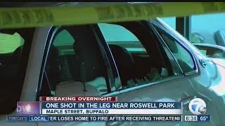 One person shot on Maple Street in Buffalo