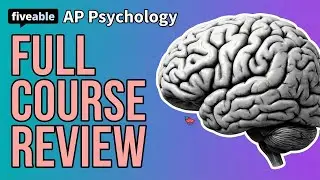 AP Psychology CRAM &ndash; Full Course Review