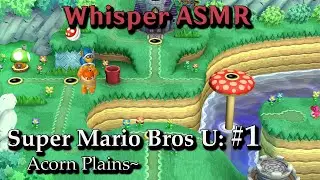 Super Mario Bros U ASMR Episode 1! Acorn Plains~
