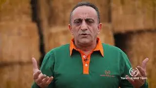 Pelet ve toz yem arasındaki farklar nelerdir? | Tarım Kredi Yem