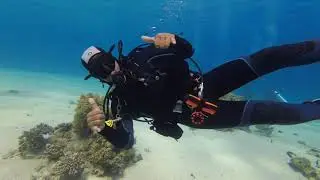 Scuba Diving in The Coral Garden, Sharm El Sheikh, Egypt  😃✌️