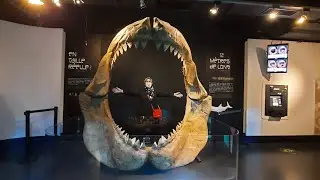 Visite du Sea Aquarium 🐠🐡🦈           (Grau du Roi)