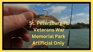 Fishing St. Petersburg Fl Veterans Memorial Park Kayak Launch