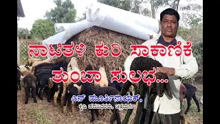 ನಾಟಿ ಕುರಿ ಸಾಕಾಣಿಕೆ ತುಂಬಾ ಸುಲಭ Nurturing sheep farming is easy