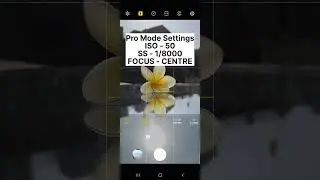 #13 Unique Flower Photography Using Mirror #shorts #photography
