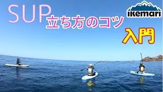 【SUP(サップ）で海水浴】SUPの漕ぎ方、立ち方のコツを紹介いたします。わちゃわちゃと海水浴するのも楽しいです。