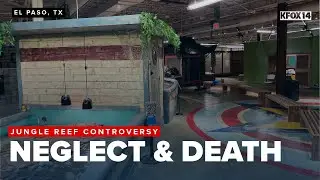 USDA report reveals animal deaths, neglect at Jungle Reef in El Paso
