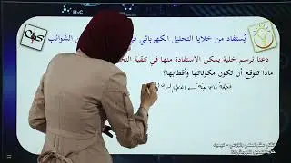 خلايا التحليل الكهربائي و تطبيقات عملية على التحليل الكهربائي