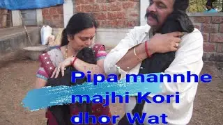 Pipa Mannhe majhi Kori Dhor Wat (पीपा मंन्हे माझी कोरी ढोर वाट) nahu tuziya preme