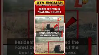 Two Wild Bears Enter Residential Area In Nuapada, Odisha