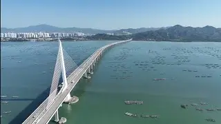 DJI Mavic 3 Classic 后海灣｜深圳灣公路大橋(1)(Shenzhen Bay Bridge, Hong Kong)28012025