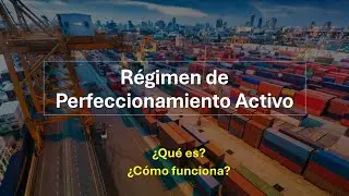 ❓ R&eacute;gimen de Perfeccionamiento Activo: &iquest;Qu&eacute; es y c&oacute;mo funciona?