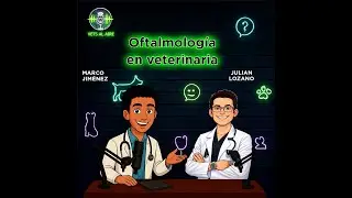 Oftalmología en perros y gatos 🩺🐾 | VETS AL AIRE Podcast Ep. 6