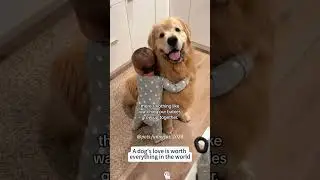 Dogs and babies are best friends 🥰🥰#usa #funny #petowner #pets #doglover #cutedog #cute