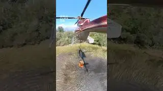 How Helicopters Fight Wildfires! 🔥 #helicopters #fires #wildfires