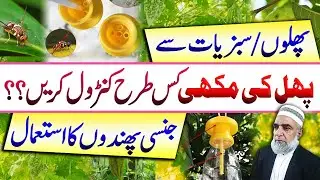 How to control Fruit fly from Fruits and Vegetables || Crop Reformer