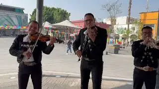Navidad en Plaza Garibaldi El Son del Mariachi cantautor Mois&eacute;s A. Flores G&aacute;lvez 