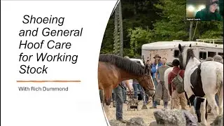 Shoeing and General Hoof Care for Working Stock with Rich Dumond: DAPChat January 2025