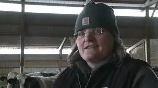 Farmers work to protect livestock during winter storm