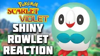SHINY ROWLET FULL REACTION! Pokemon Scarlet and Violet Shiny Highlight! #shinypokemon