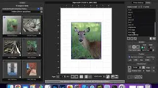 Using Photo Mats to Make Greetings Cards with Qimage One