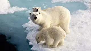 What is Climate Change - The Global Business Impact (3 Minutes)