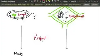 what is cell signaling? simple language/must before starting the actual cell signaling