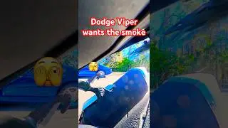 #dodge #viper #race #suzuki #gsxr #1000 #bikelife #motorcycle #sportbike #bikelife #insta360 #mexico
