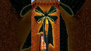 Oslo Christmas Vibes 2025 🎅🎄🇳🇴😍