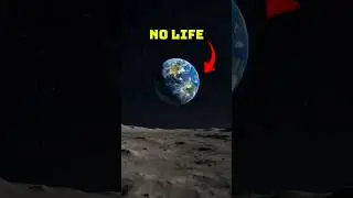 What If Earth Suddenly Stopped Spinning? 😱