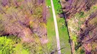 Medway Creek & Cemetery - Middlesex County, Ontario - Q500 Typhoon