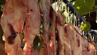 Вкусняшки для собак в домашніх умовах😋